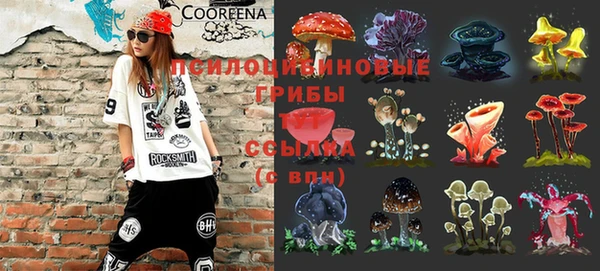 jwh Кодинск